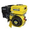 KisanKraft Vertical  KK-GE-200 (Petrol Started Kerosene Run Engine) 196 cc