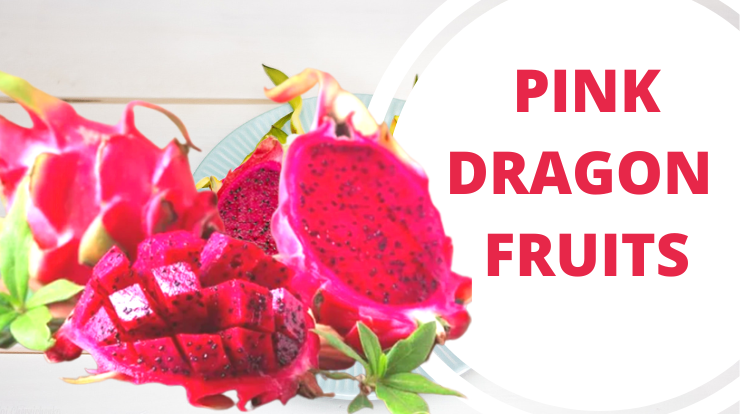 PINK DRAGON FRUITS