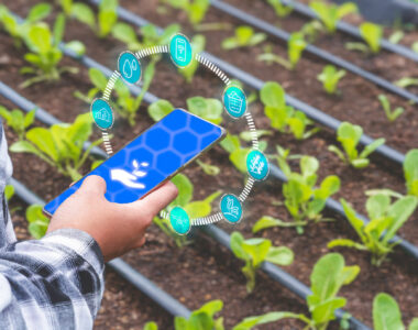 modern agriculture farming